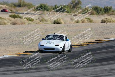 media/Feb-18-2024-Nasa AZ (Sun) [[891db5b212]]/7-Race Group A/Session 1 Turn 12 Exit-Bowl Entry/